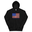 Load image into Gallery viewer, Slingmode USA Men's Hoodie (American Flag)