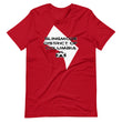 Load image into Gallery viewer, Slingmode State Design Men's T-shirt (District of Columbia)